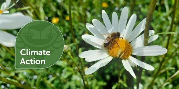 New Forest District Council reviews climate action progress in latest report